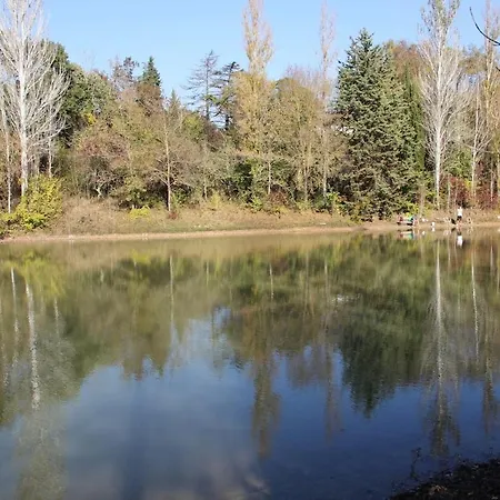 Avec Grand Et Park Arbore Montestruc-sur-Gers