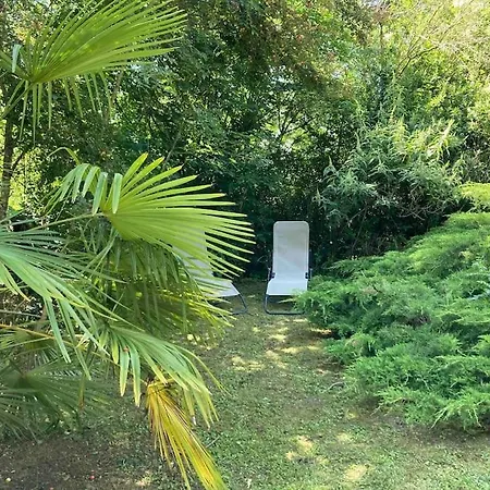 Avec Grand Et Park Arbore Prázdninový dům Montestruc-sur-Gers