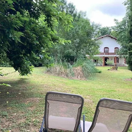 Avec Grand Et Park Arbore Montestruc-sur-Gers