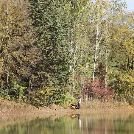 Avec Grand Et Park Arbore