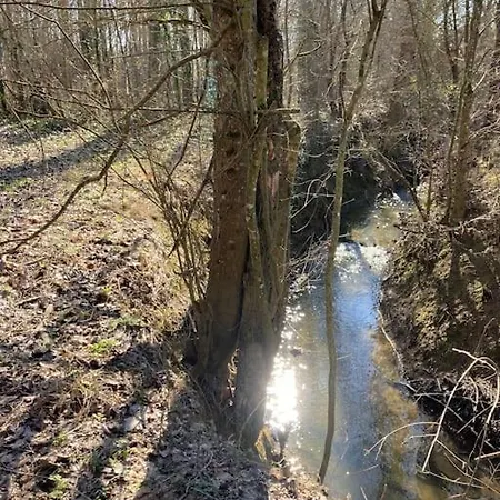 Avec Grand Et Park Arbore