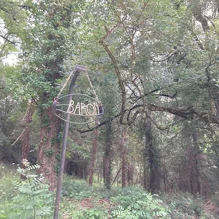 Avec Grand Et Park Arbore Montestruc-sur-Gers