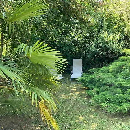 Avec Grand Et Park Arbore