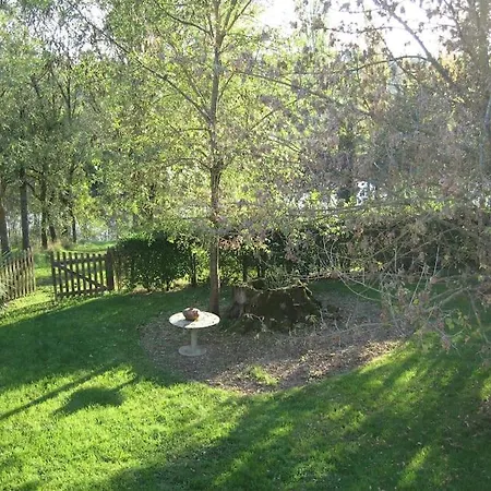 Avec Grand Et Park Arbore *