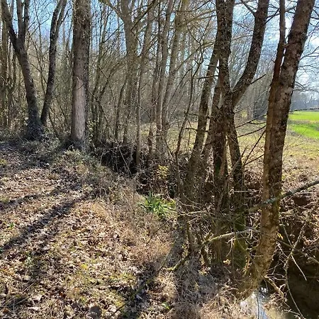 Prázdninový dům Avec Grand Et Park Arbore Montestruc-sur-Gers