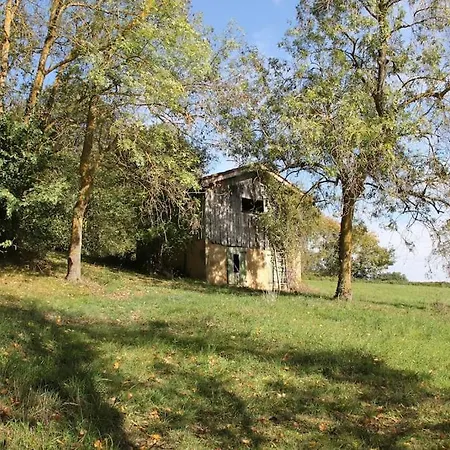 Avec Grand Et Park Arbore Montestruc-sur-Gers