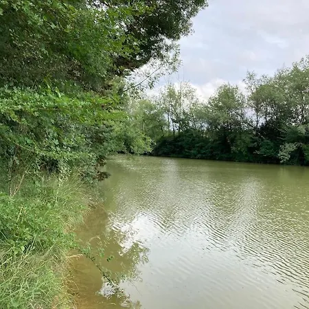 Дом отдыха Avec Grand Et Park Arbore *