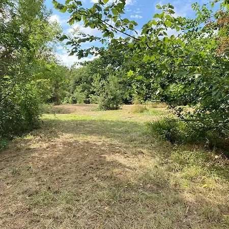 Avec Grand Et Park Arbore Prázdninový dům