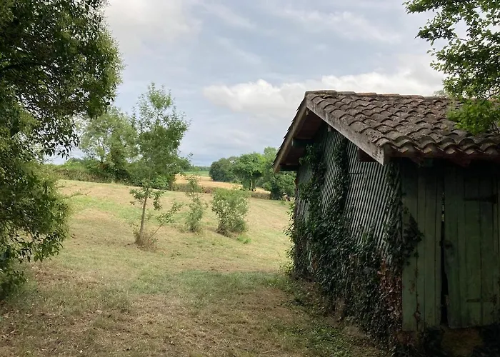 Avec Grand Et Park Arboré *