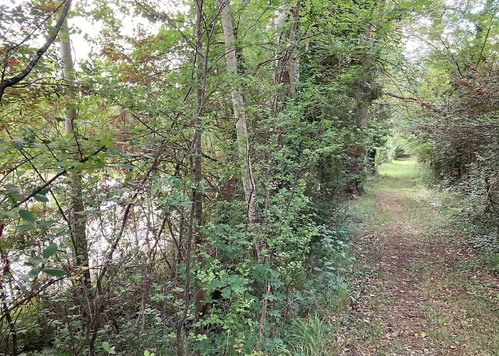 Сasa de vacaciones Avec Grand Et Park Arboré