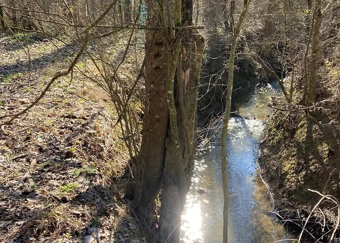 Сasa de vacaciones Avec Grand Et Park Arboré *
