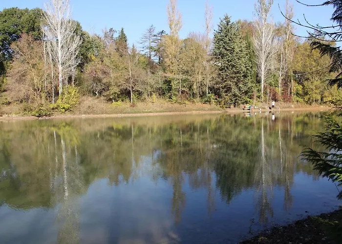Avec Grand Et Park Arboré Montestruc-sur-Gers