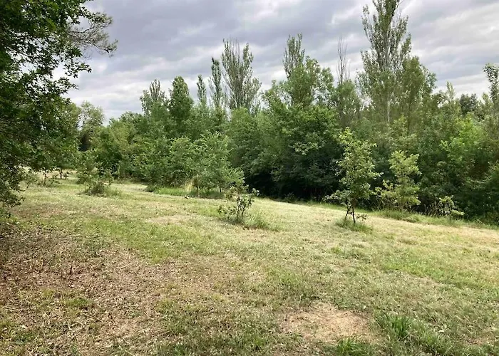 Avec Grand Et Park Arboré *