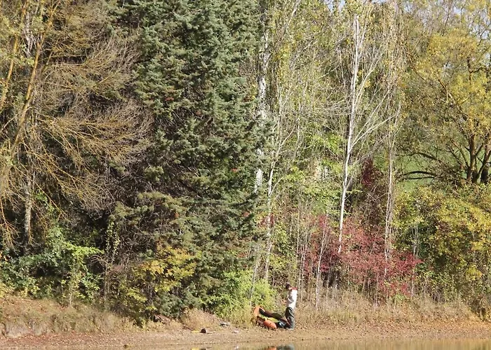 Avec Grand Et Park Arboré