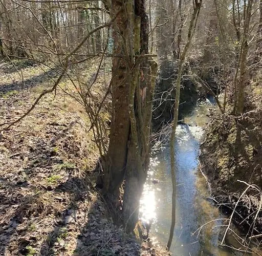 Avec Grand Et Park Arboré
