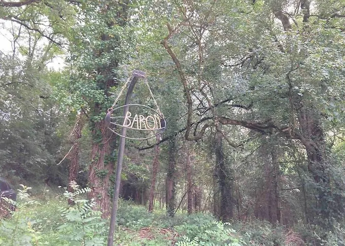 Avec Grand Et Park Arboré Montestruc-sur-Gers