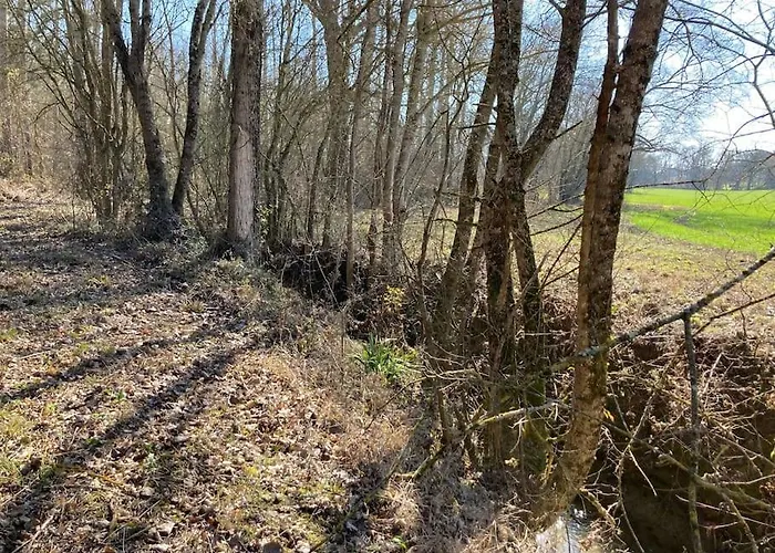 Сasa de vacaciones Avec Grand Et Park Arboré Montestruc-sur-Gers