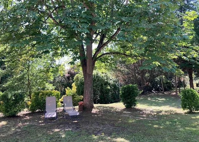 Avec Grand Et Park Arboré *